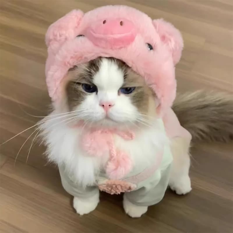 ネイビーコーデ に映えるピンクのぶたさんコスプレ♪ ふわもこ可愛いペット服