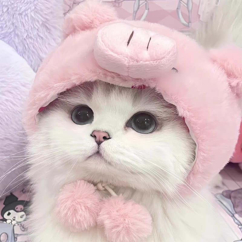 ネイビーコーデ に映えるピンクのぶたさんコスプレ♪ ふわもこ可愛いペット服