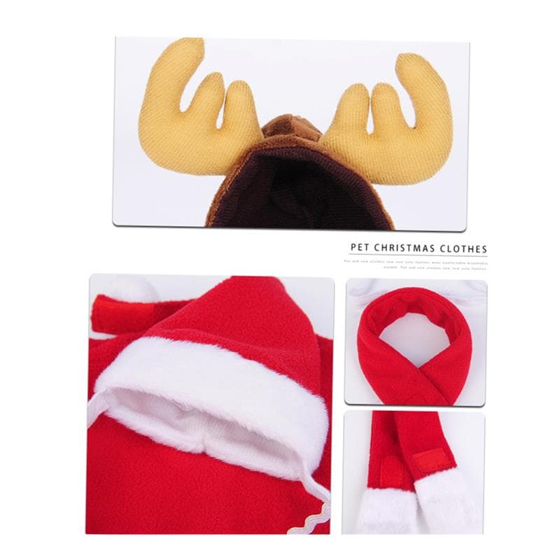 ネイビーコーデ に映える！猫ちゃんの赤いクリスマスコスプレ服で華やかペットコーデ