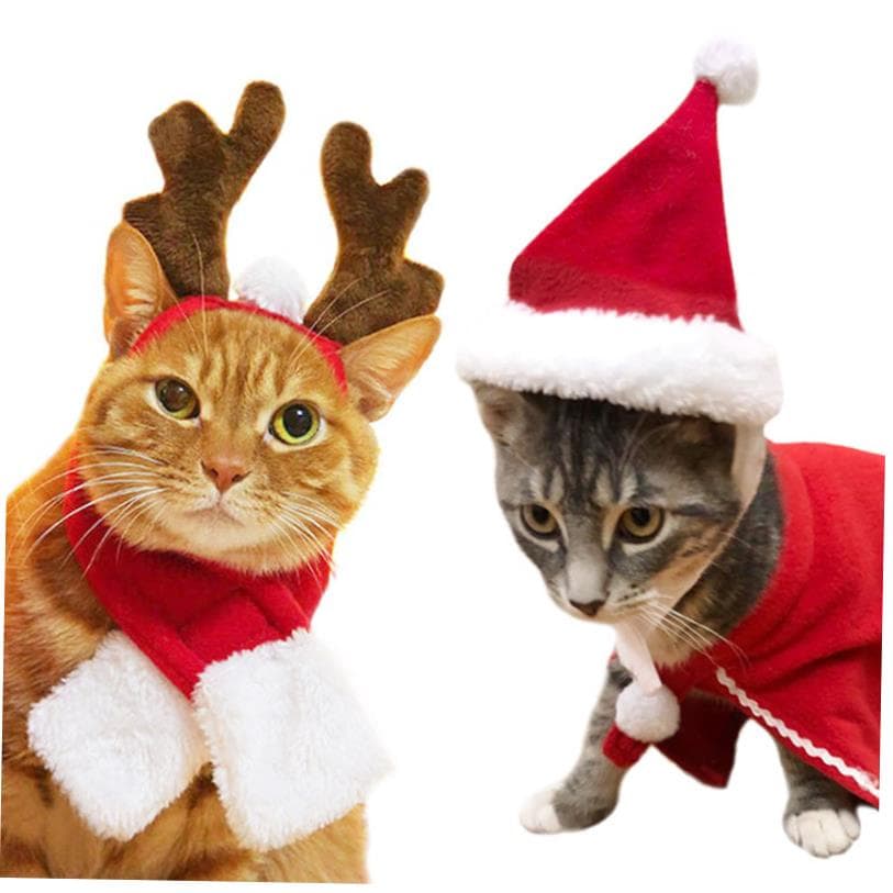 ネイビーコーデ に映える！猫ちゃんの赤いクリスマスコスプレ服で華やかペットコーデ