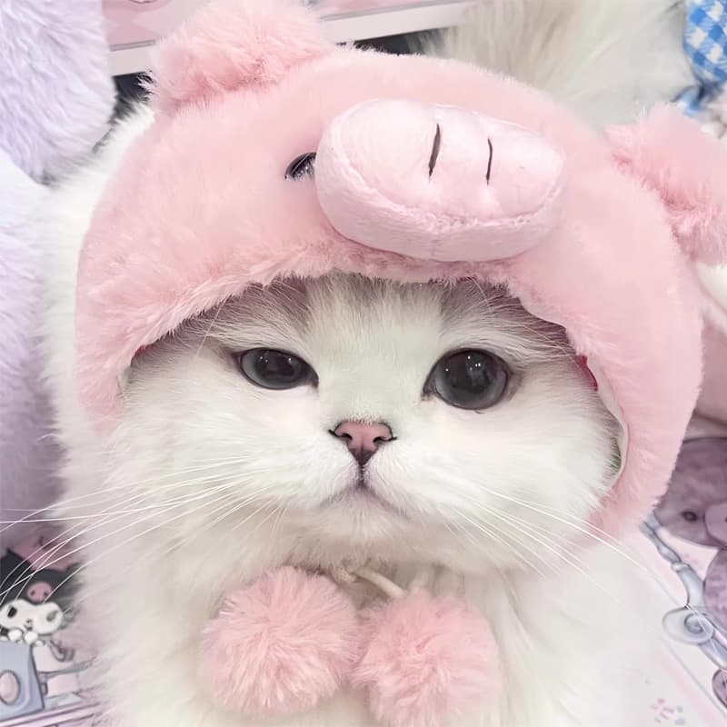 ネイビーコーデ に映えるピンクのぶたさんコスプレ♪ ふわもこ可愛いペット服
