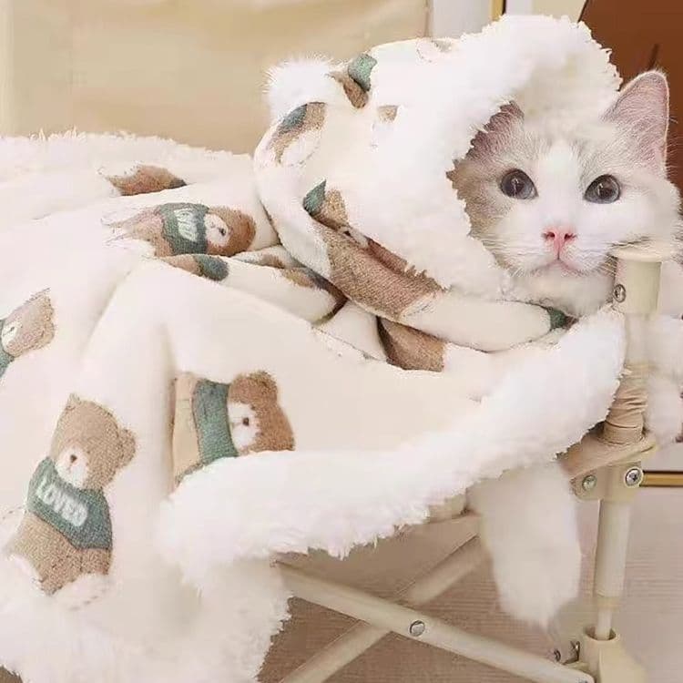 ネイビーコーデ もこもこ熊さん柄フード付き猫用パジャマ