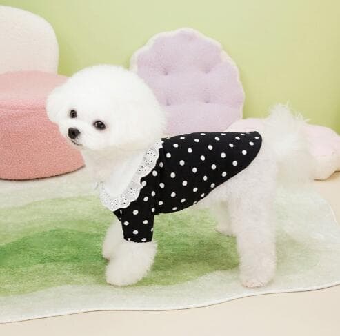 ネイビーコーデ 小型犬猫用水玉模様服 可愛いペット雑貨小物