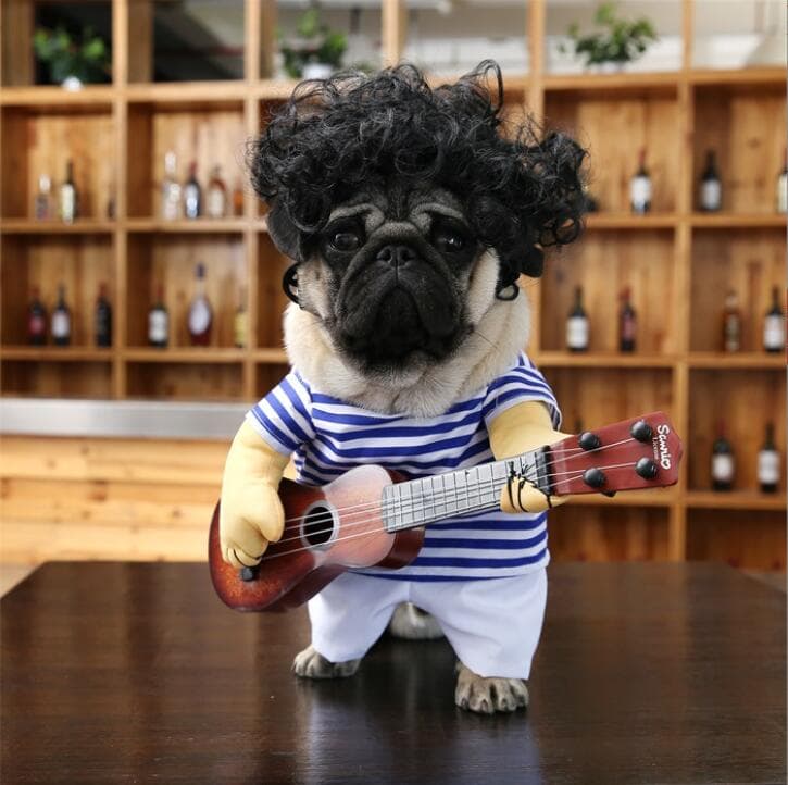 ネイビーコーデ 猫犬兼用ペット服 演奏者変身衣装 ボーダー柄 中型大型犬対応