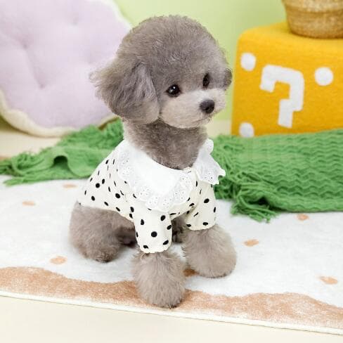 ネイビーコーデ 小型犬猫用水玉模様服 可愛いペット雑貨小物